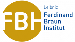 Logo des Ferdinand Braun Instituts